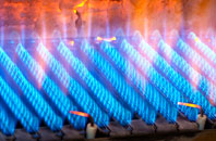Newton Regis gas fired boilers